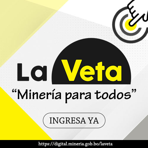 https://digital.mineria.gob.bo/laveta